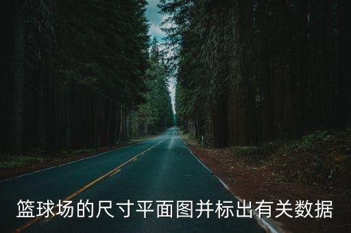 如何使用智能健身设备进行篮球专项训练_1